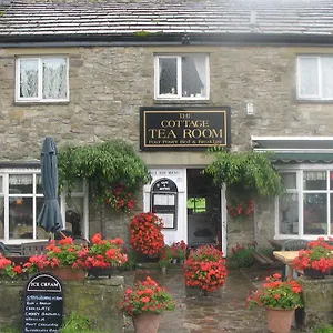 The Tea United Kingdom