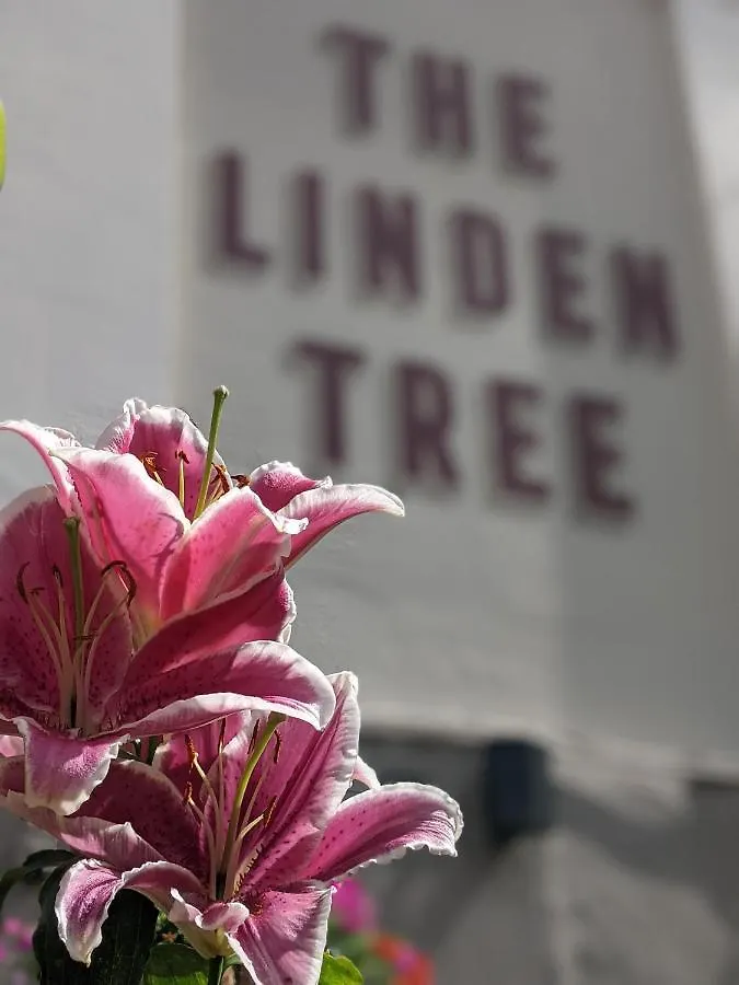 Linden Tree Bed & Breakfast Gloucester